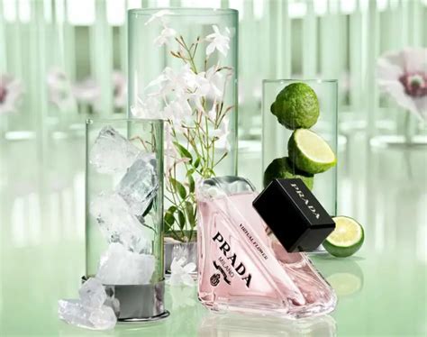 prada paradoxe moisturiser|prada paradoxe virtual flower.